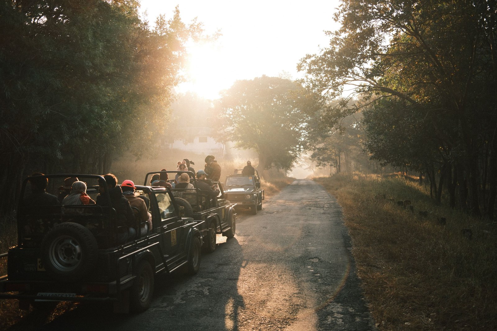 Ranthambore