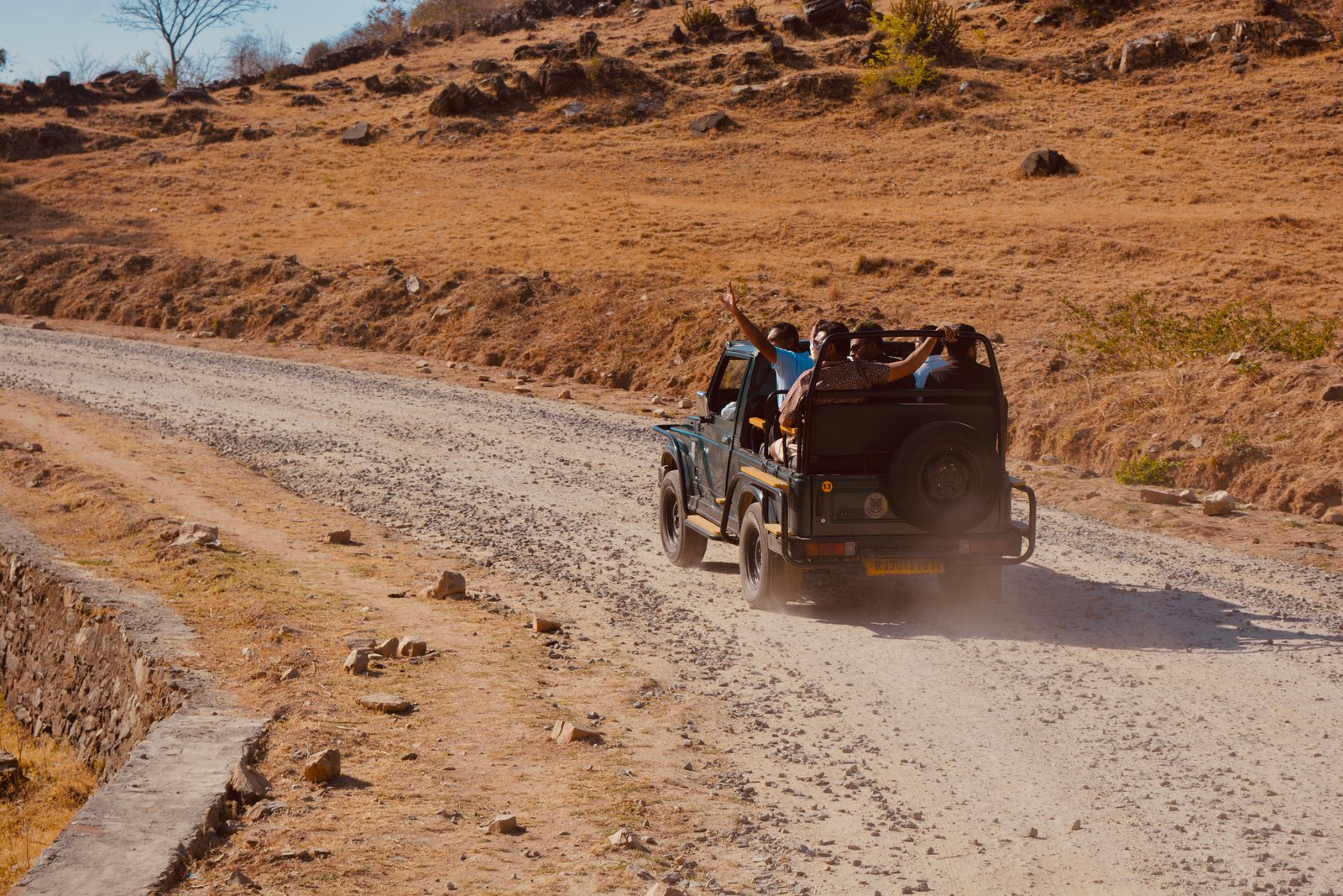 Ranthambore