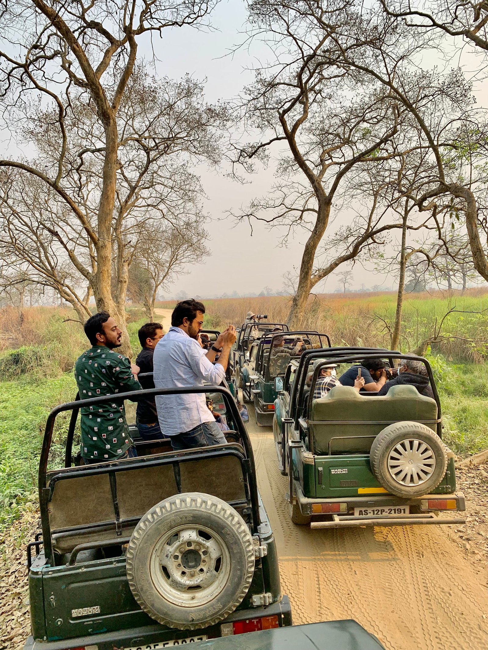 Ranthambore